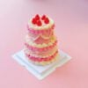 Charming Pink Mini Cake Set: Perfect Gift with Dual Layer Design Charming Pink Mini Cake Set: Perfect Gift with Dual Layer Design