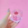 Festive Mini Cake Packaging: 10 Clear Boxes with Decorative Bows Festive Mini Cake Packaging: 10 Clear Boxes with Decorative Bows
