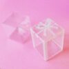 Festive Mini Cake Packaging: 10 Clear Boxes with Decorative Bows Festive Mini Cake Packaging: 10 Clear Boxes with Decorative Bows
