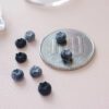 Realistic Mini Clay Blueberry Accents: Perfect for Crafting and Decor Realistic Mini Clay Blueberry Accents: Perfect for Crafting and Decor
