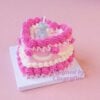 Twinkling Teddy Cake Kit Elegant Heart Design in Pink and White Twinkling Teddy Cake Kit Elegant Heart Design in Pink and White