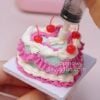 Cherry Bliss Mini Cake Kit Craft a Heartfelt Sweet Treat